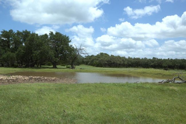 51 Deadend Rd, Home with 0 bedrooms, 0 bathrooms and null parking in Mountain Home TX | Image 12