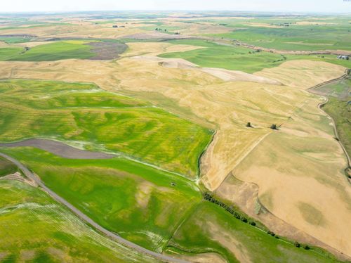 TBD Bongarts Rd, Oakesdale, WA,  | Card Image