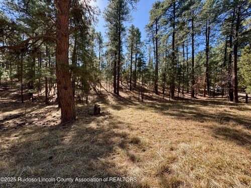 106 Incredible Lane, Alto, NM, 88312 | Card Image