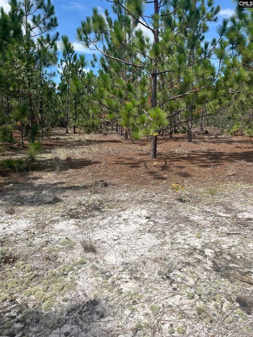 PPF 14 Payne Pond Road, Westville, SC, 29175 | Card Image