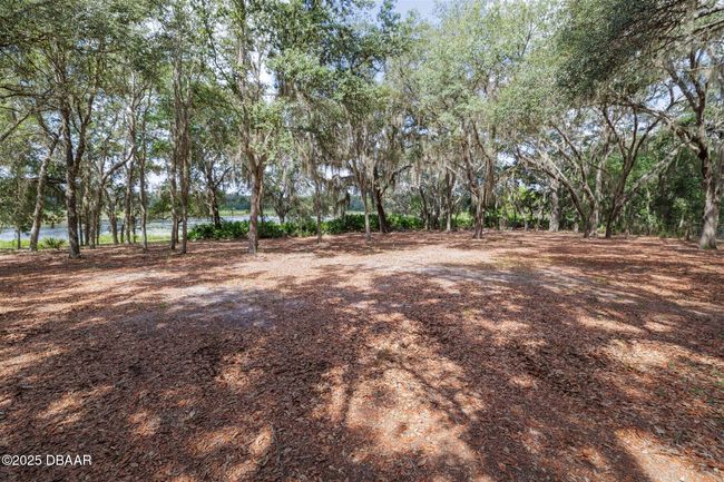 111 Penny Acres Ln, House other with 3 bedrooms, 2 bathrooms and null parking in Welaka FL | Image 32
