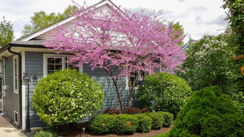 22w474 Emerson Ave, Glen Ellyn, IL, 60137-3606 | Card Image