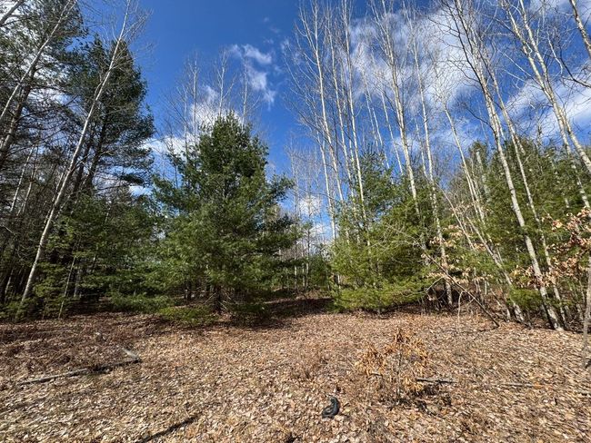 View from Hardacre Trail - Street side | Image 6