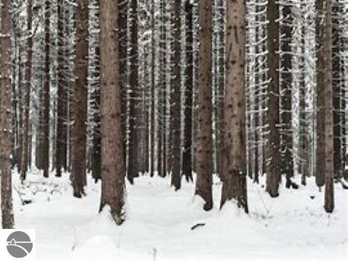 A Garfield Rd, Kingsley, MI, 49649 | Card Image