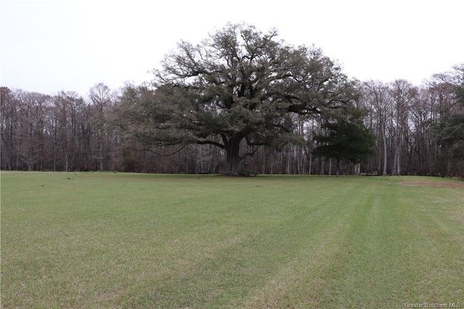 0 Highway 347, Home with 0 bedrooms, 0 bathrooms and null parking in Arnaudville LA | Image 12