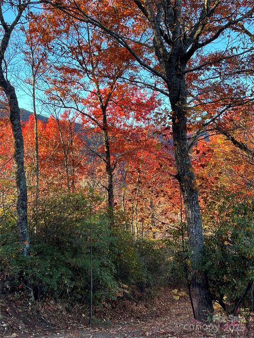 69 & 81 Winter Moon Ridge, Sylva, NC, 28779 | Card Image