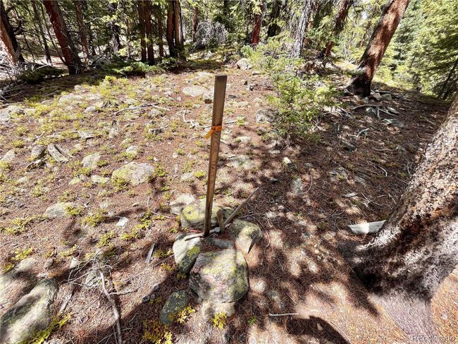 676 Dry Gulch Rd, Home with 0 bedrooms, 0 bathrooms and null parking in Fairplay CO | Image 23