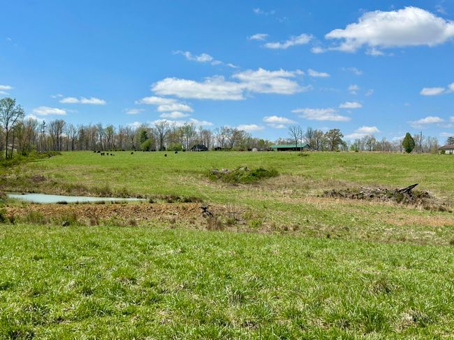 428 Dick Wilson Rd, Home with 0 bedrooms, 0 bathrooms and null parking in Strunk KY | Image 20