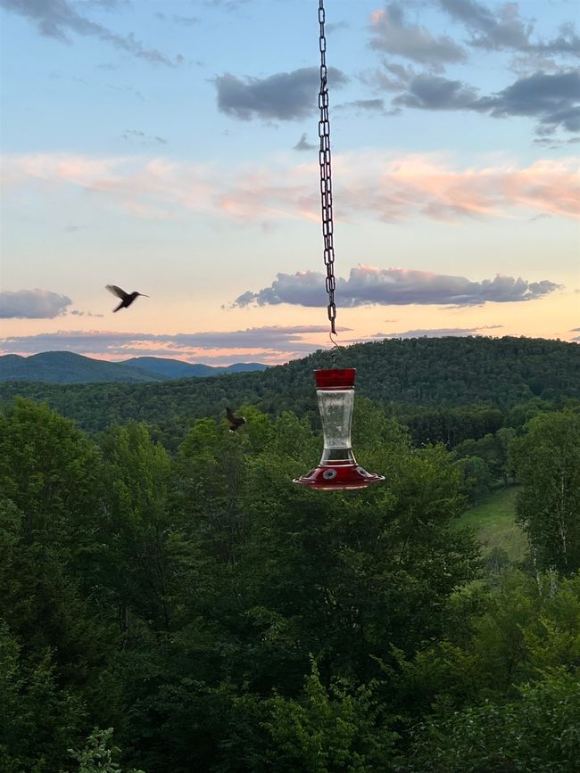 1133 Atwood Ln, House other with 3 bedrooms, 3 bathrooms and null parking in Woodstock VT | Image 60