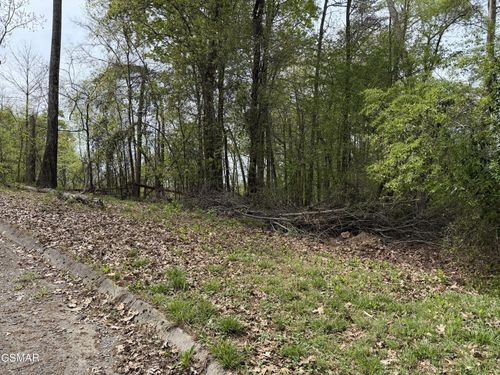 6 John Spears Way, Sevierville, TN, 37876 | Card Image