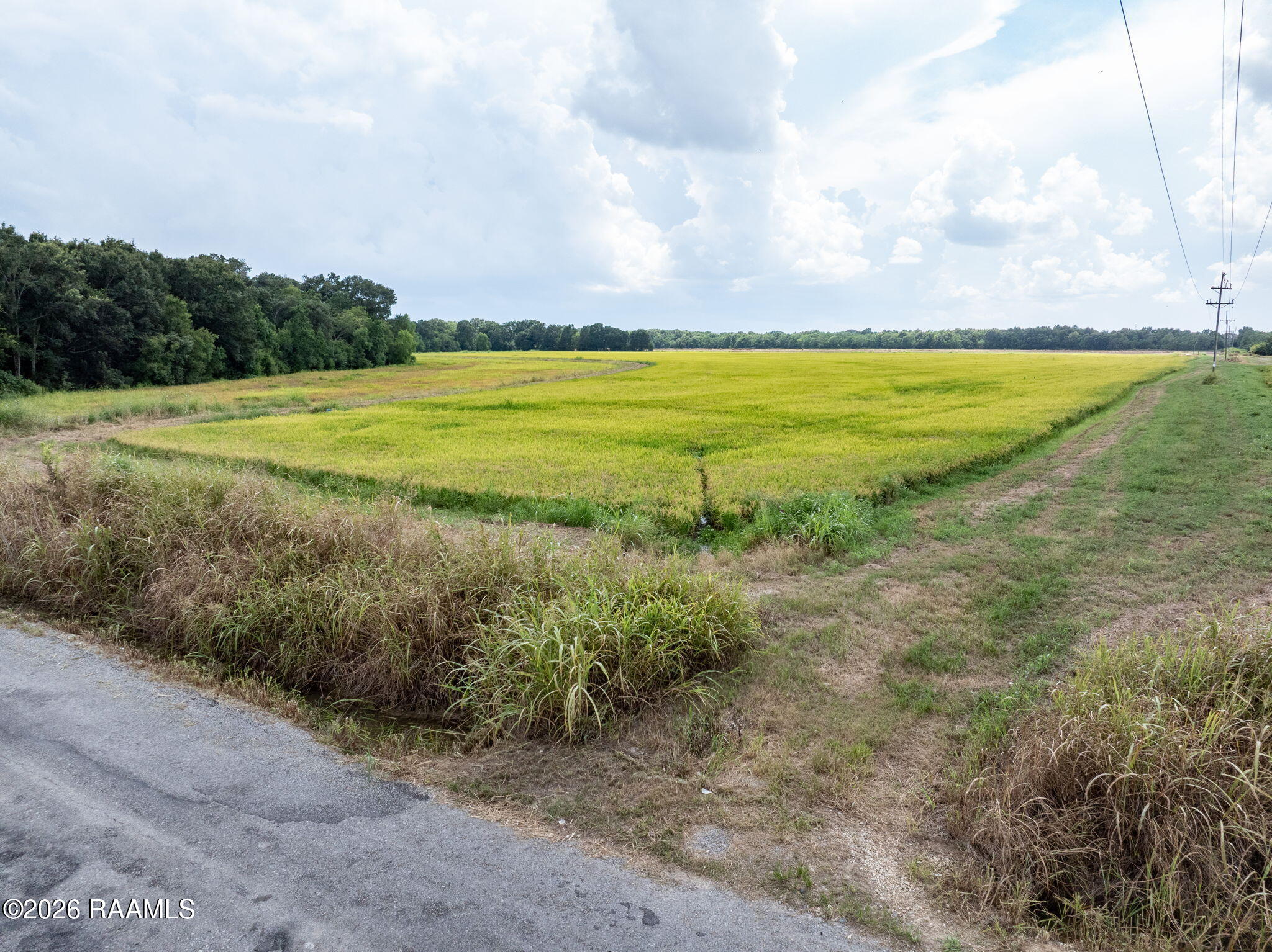 Land in Crowley