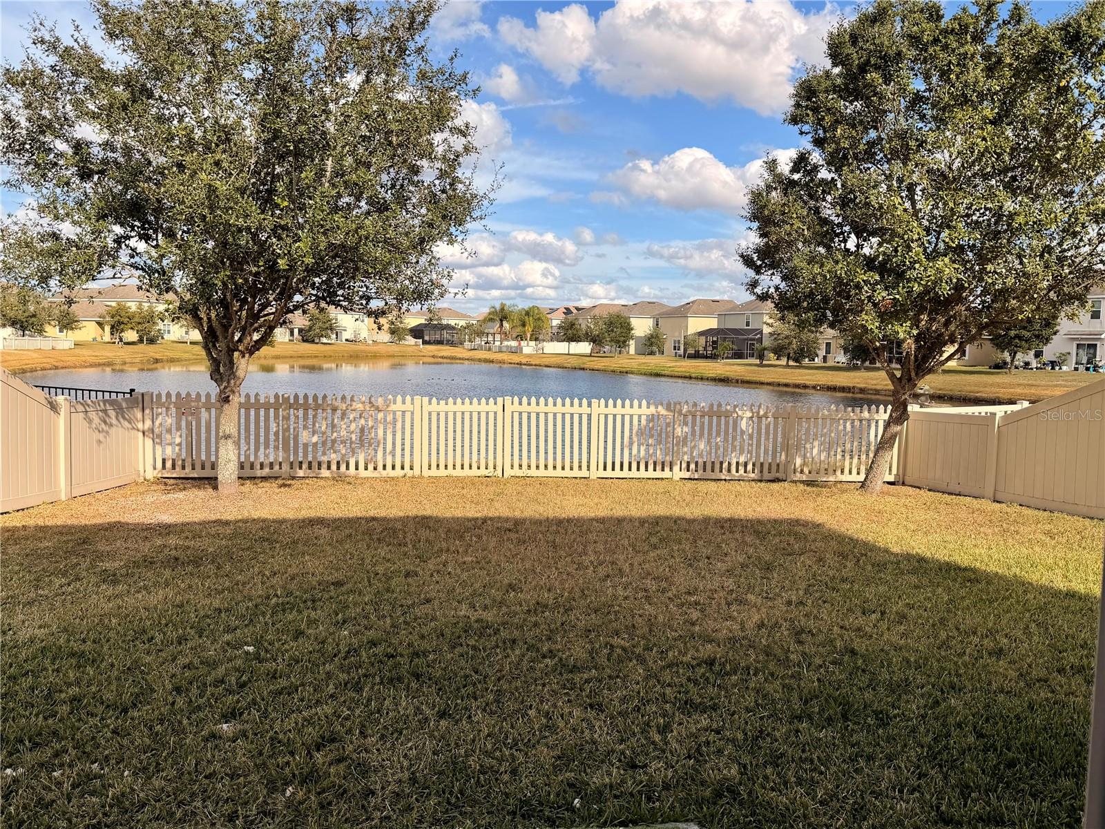 Residential Lease in WESLEY CHAPEL 3