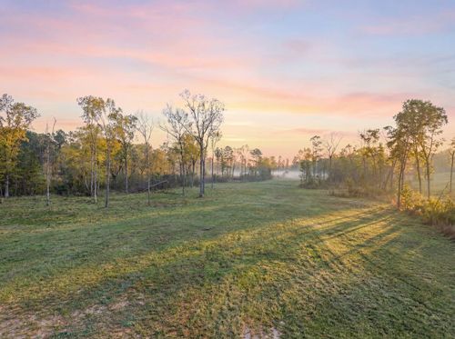 Lot 13 Fm 350 N, Livingston, TX, 77351 | Card Image