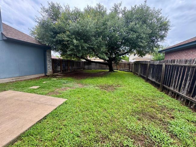 View of backyard | Image 25