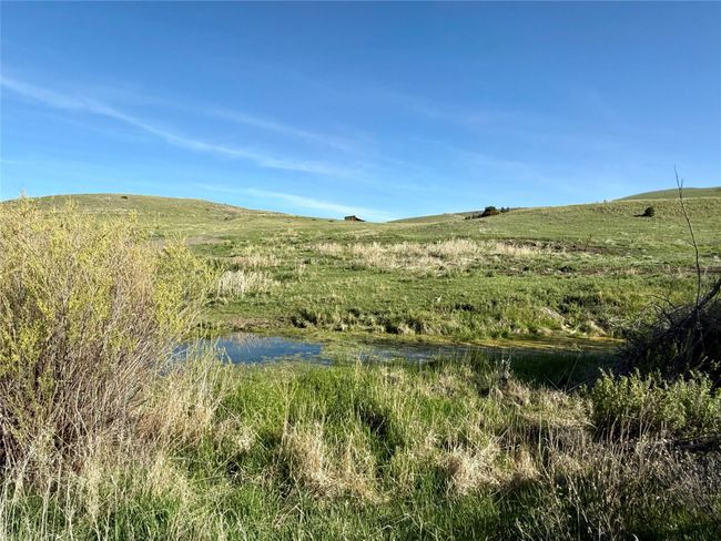 Looking North From The Road | Image 16