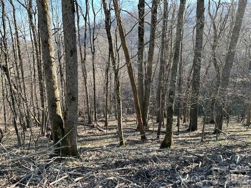Lot 20 Trillium Lane, Mars Hill, NC, 28754 | Card Image