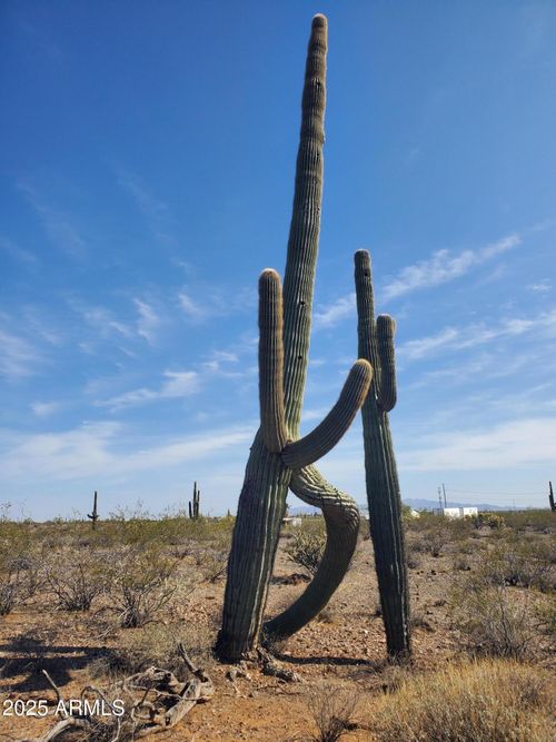 0-43513 N 261st Ave, Morristown, AZ, 85342 | Card Image