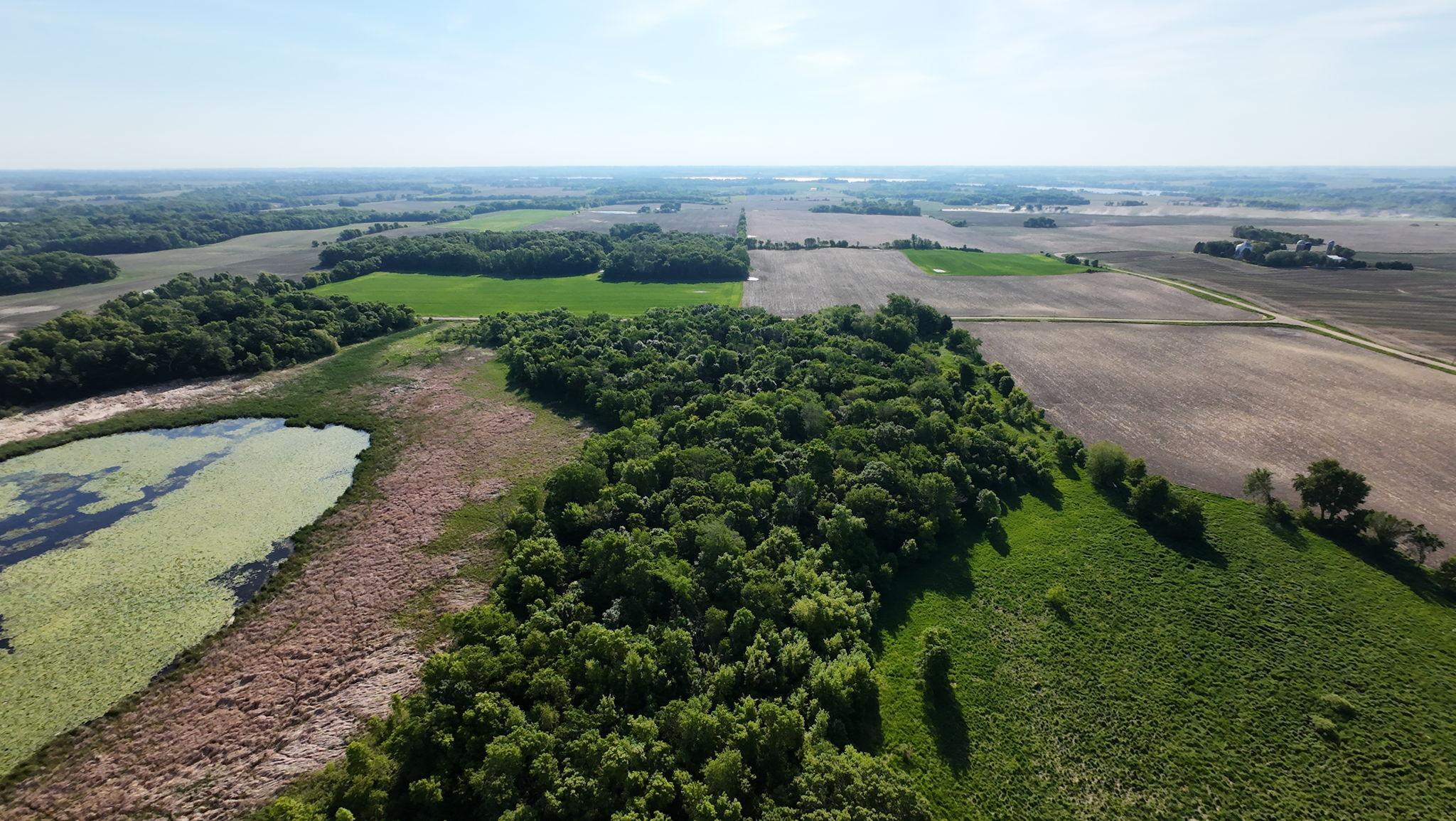 Land in Morristown 4