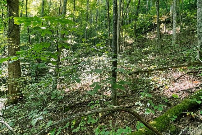 Image | Image 6