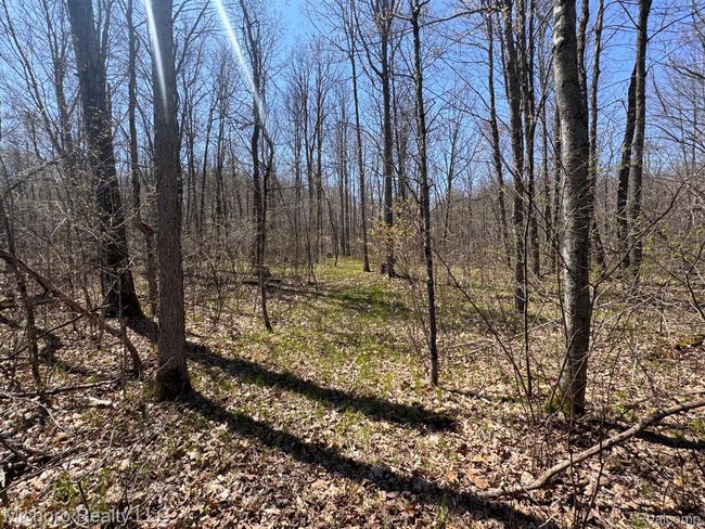 6891 Pine Tree Dr, Home with 0 bedrooms, 0 bathrooms and null parking in Glennie MI | Image 23