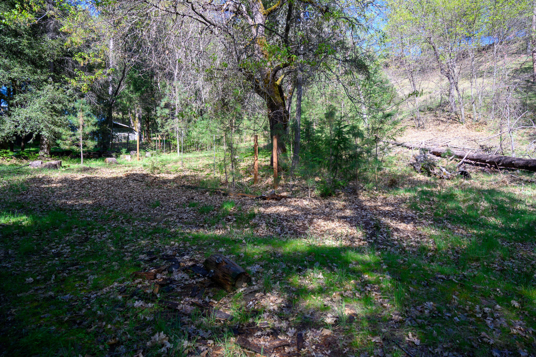 Land in Lewiston 5