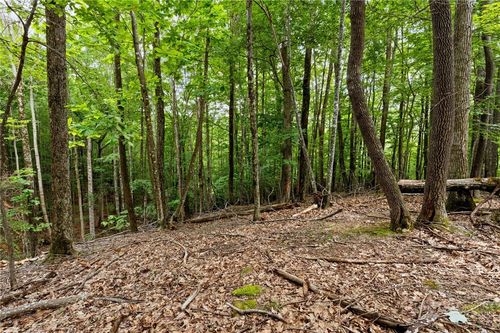203 Sourwood Ln, Beech Mountain, NC, 28604-8266 | Card Image