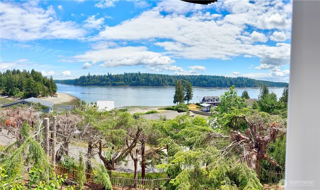 Panoramic View 3 | Image 17