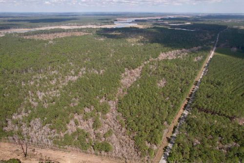Tract C - TBD Pennyroyal Rd., Georgetown, SC, 29440 | Card Image