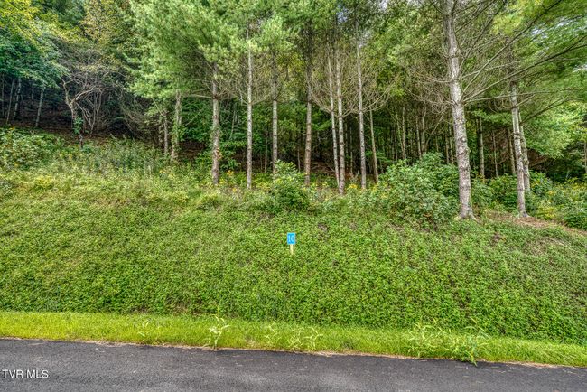 10 Cowan Town Rd, Home with 0 bedrooms, 0 bathrooms and null parking in Butler TN | Image 20
