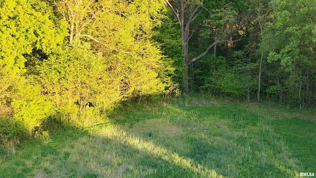 0 N Chambers Rd, Home with 0 bedrooms, 0 bathrooms and null parking in Smithfield IL | Image 5