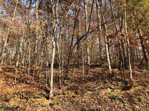 Lot 52 Harbor Ln, La Follette, TN, 37766 | Card Image