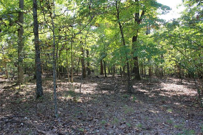 2231 Shady Ridge Road, Home with 0 bedrooms, 0 bathrooms and null parking in Kansas OK | Image 13