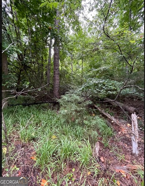 LOT 51 Alpine Way, Lavonia, GA, 30553 | Card Image