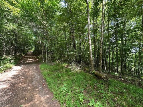 TBD Long Bow Ln, Galax, VA, 24333 | Card Image