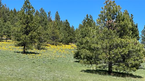 6 Tract, Bull Elk, Drummond, MT, 59832 | Card Image