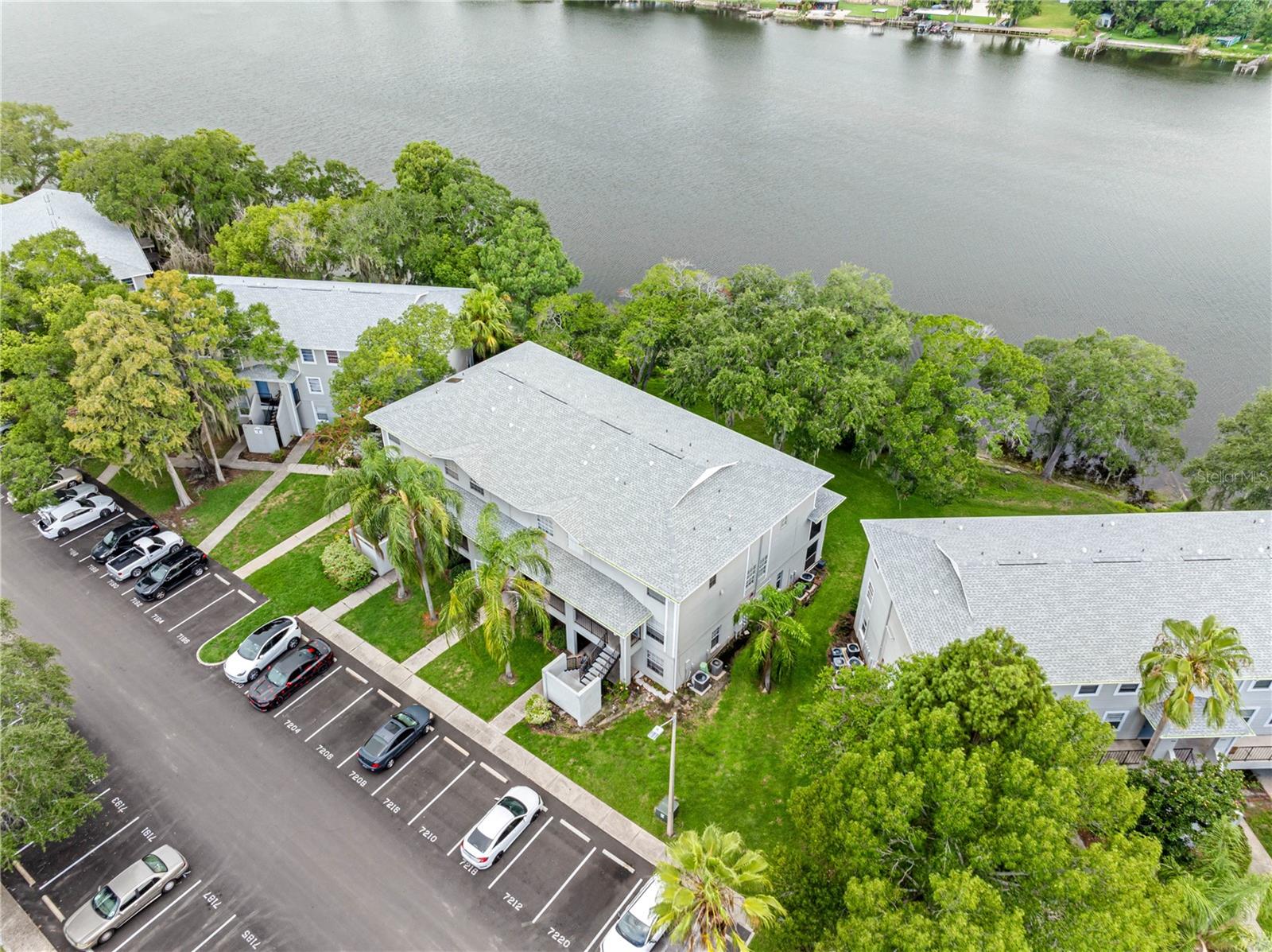 Residential Lease in TAMPA 3