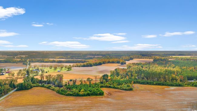 17 Arnette Rd., Home with 0 bedrooms, 0 bathrooms and null parking in Dillon SC | Image 6