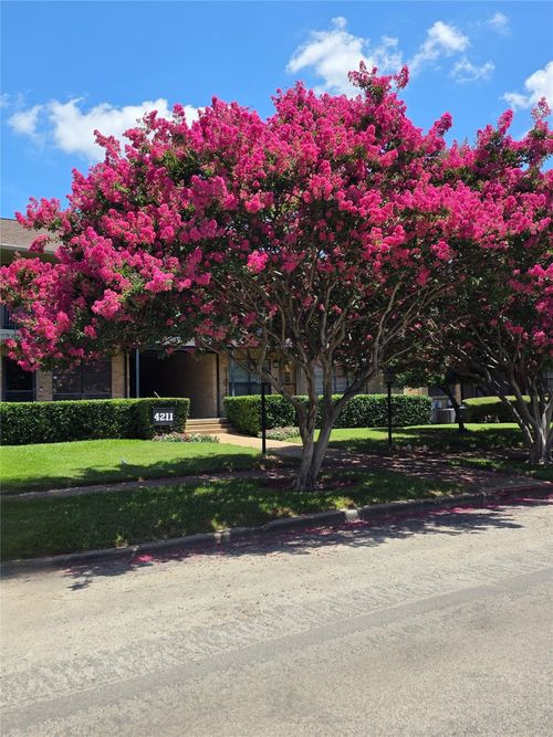 apt-107-4211 Newton Ave, Dallas, TX, 75219-3127 | Card Image