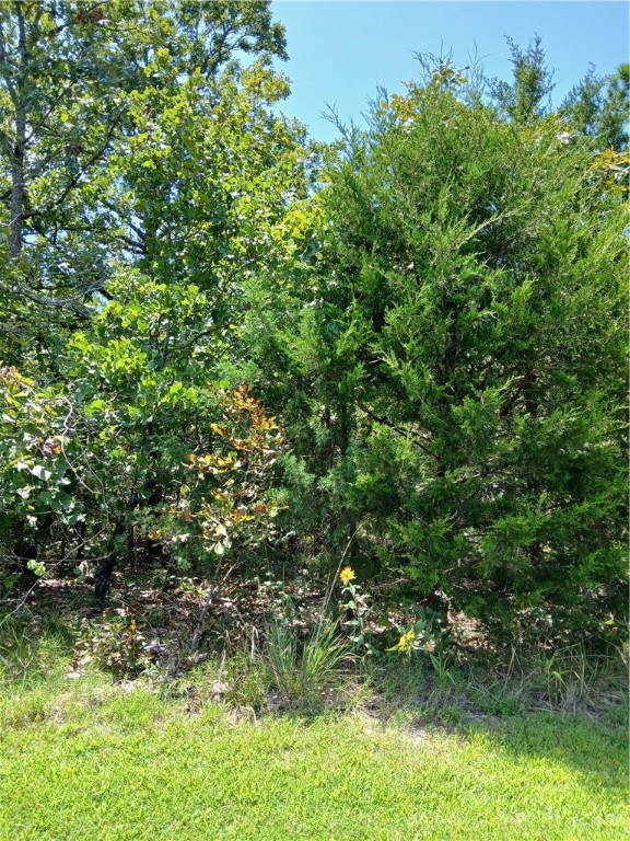 Land in Briarcliff 5