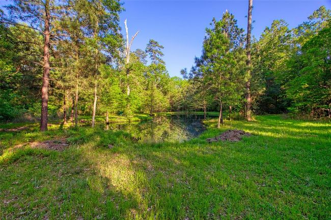 10949 Highway 326 N, House other with 3 bedrooms, 2 bathrooms and null parking in Kountze TX | Image 18