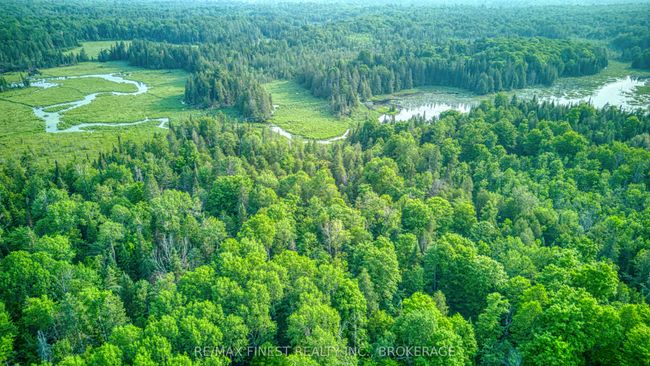 E 1/2 Lot 22 Concession 9 Palmerston N/A, House other with 3 bedrooms, 0 bathrooms and 10 parking in North Frontenac ON | Image 7