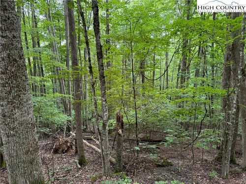 119 Raccoon Rd, Beech Mountain, NC, 28604-8170 | Card Image