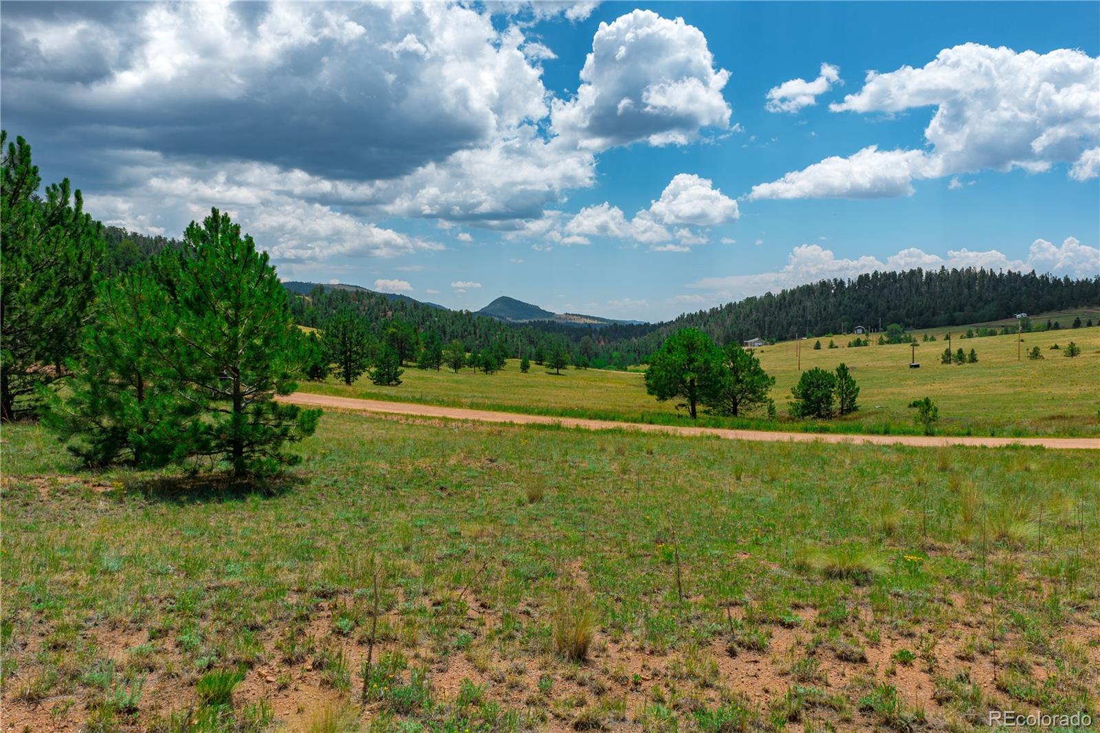 Land in Cripple Creek 4