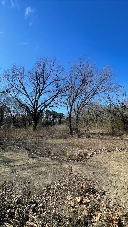 TBD County Road 1223, Daingerfield, TX, 75638 | Card Image
