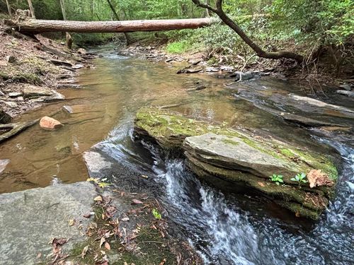 396 Mt. Springer Road, Ellijay, GA, 30540 | Card Image