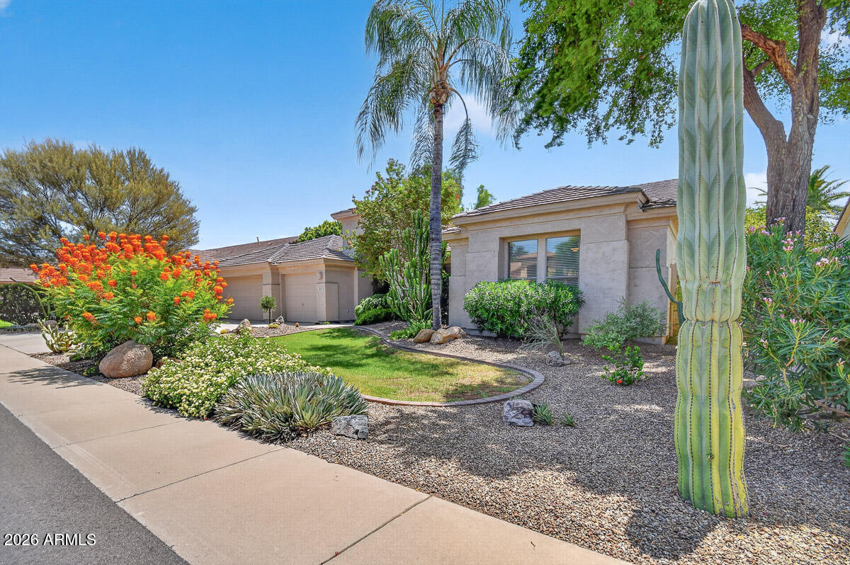 Residential in Chandler 2