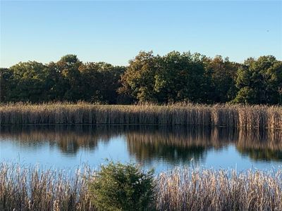 Close Up of Pond | Image 2