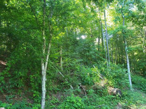 00 Hidden Valley Rd, Marietta, SC, 29661 | Card Image