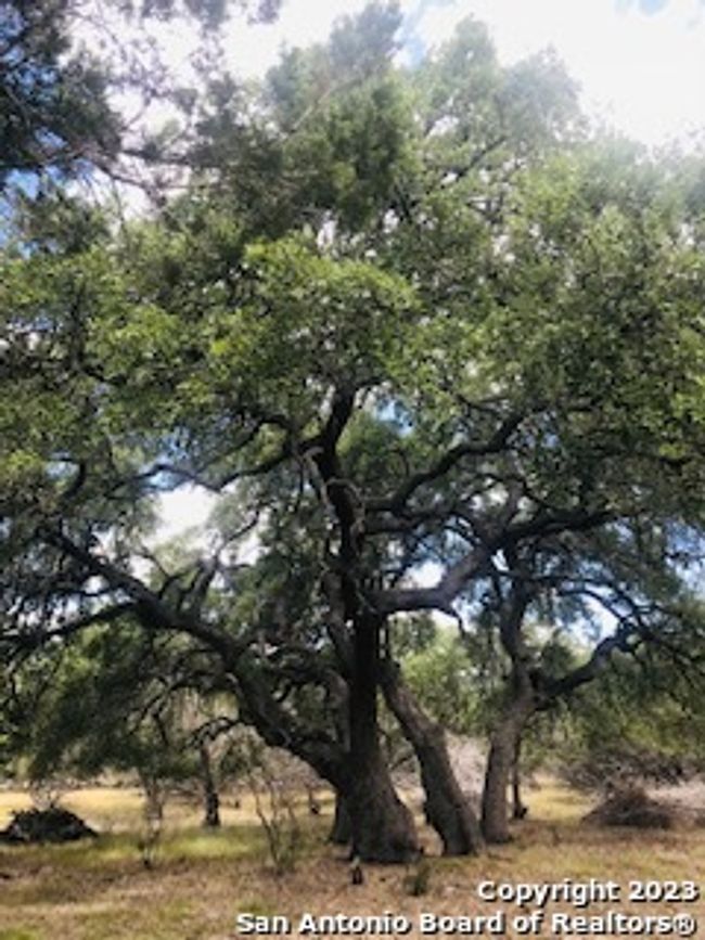26 Mustang Crossing Dr, Home with 0 bedrooms, 0 bathrooms and null parking in Pipe Creek TX | Image 10