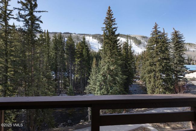 4E - 452 E Lionshead Cir, Condo with 3 bedrooms, 3 bathrooms and 1 parking in Vail CO | Image 15
